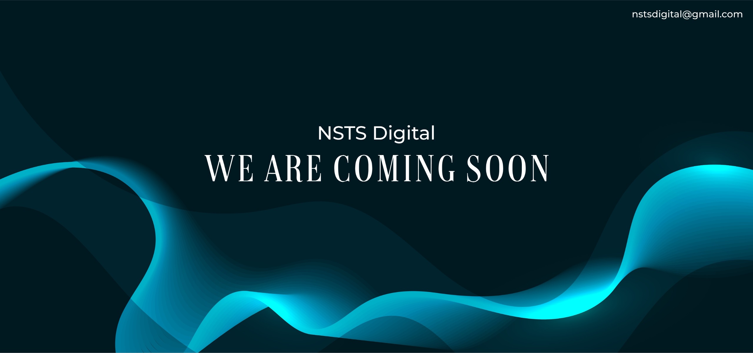 NSTS Digital Banner